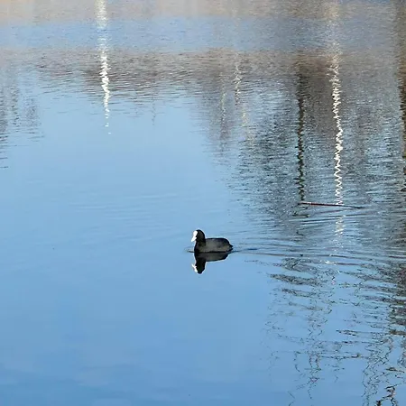 Warmia Loft Nad Ilawka
